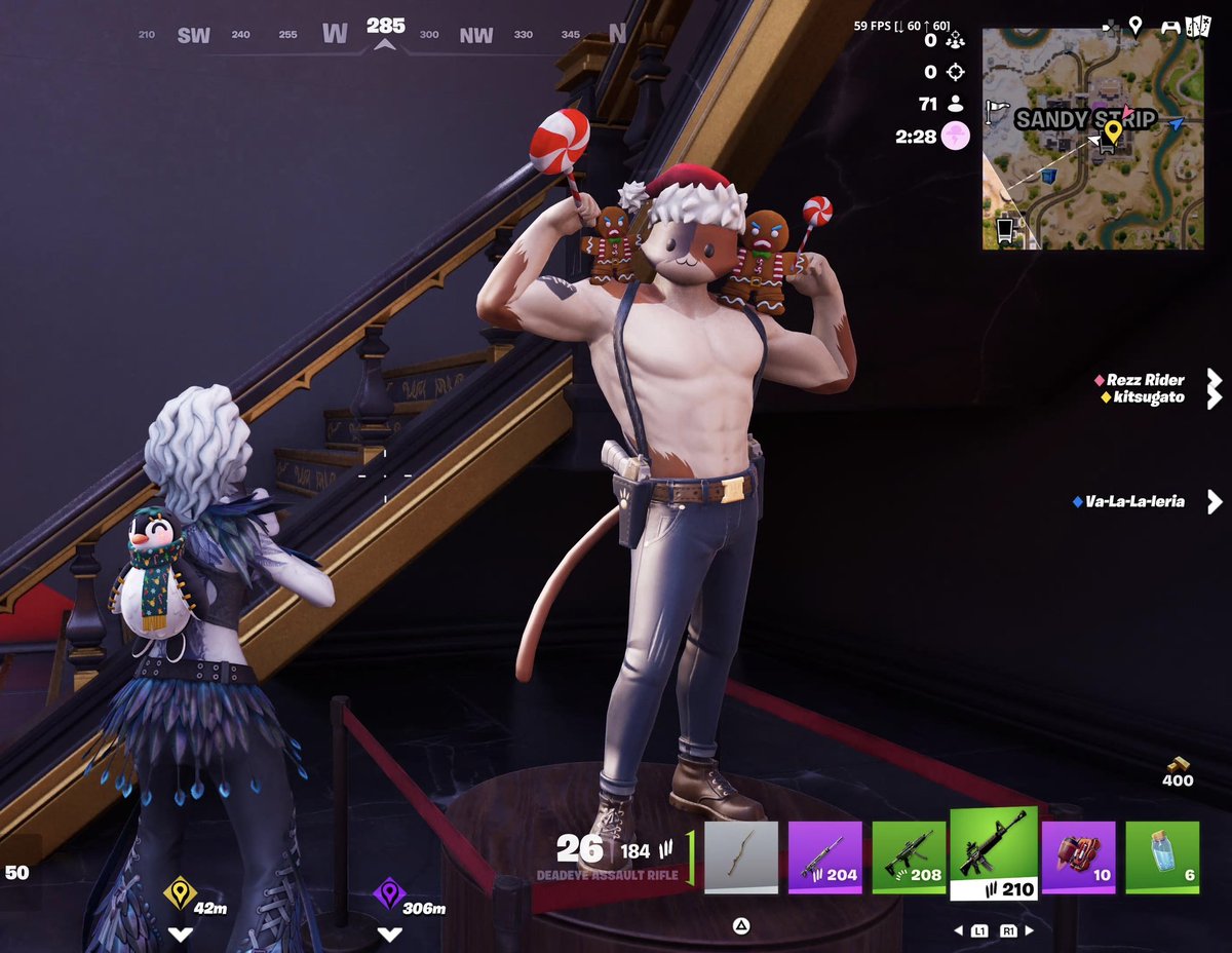 THEY DECORATED MEOWSCLES FOR WINTERFEST