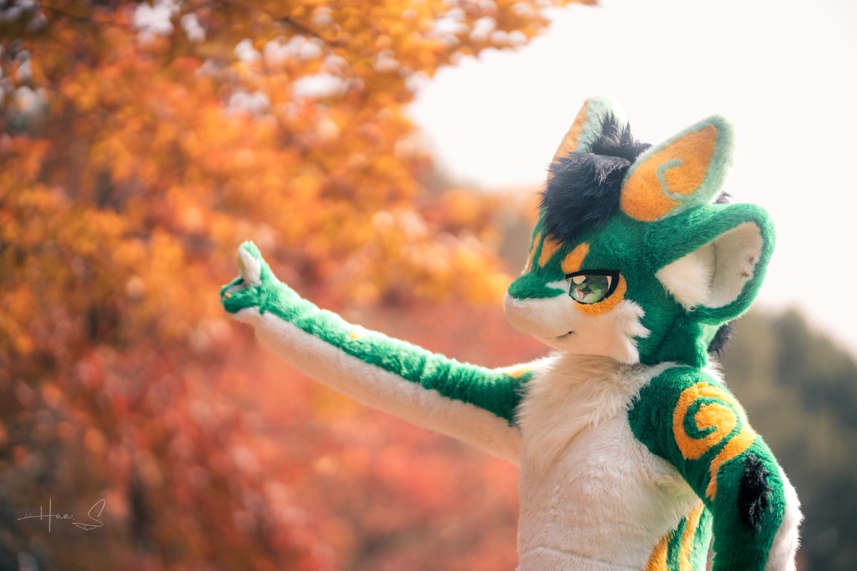 RayLopper's tweet image. 明天闪现出龙井，帮凯德发发毛五（？），顺带问问有没有空房间可以收留我周六一晚的（并没有抱希望）
🐉@Alkaid_42