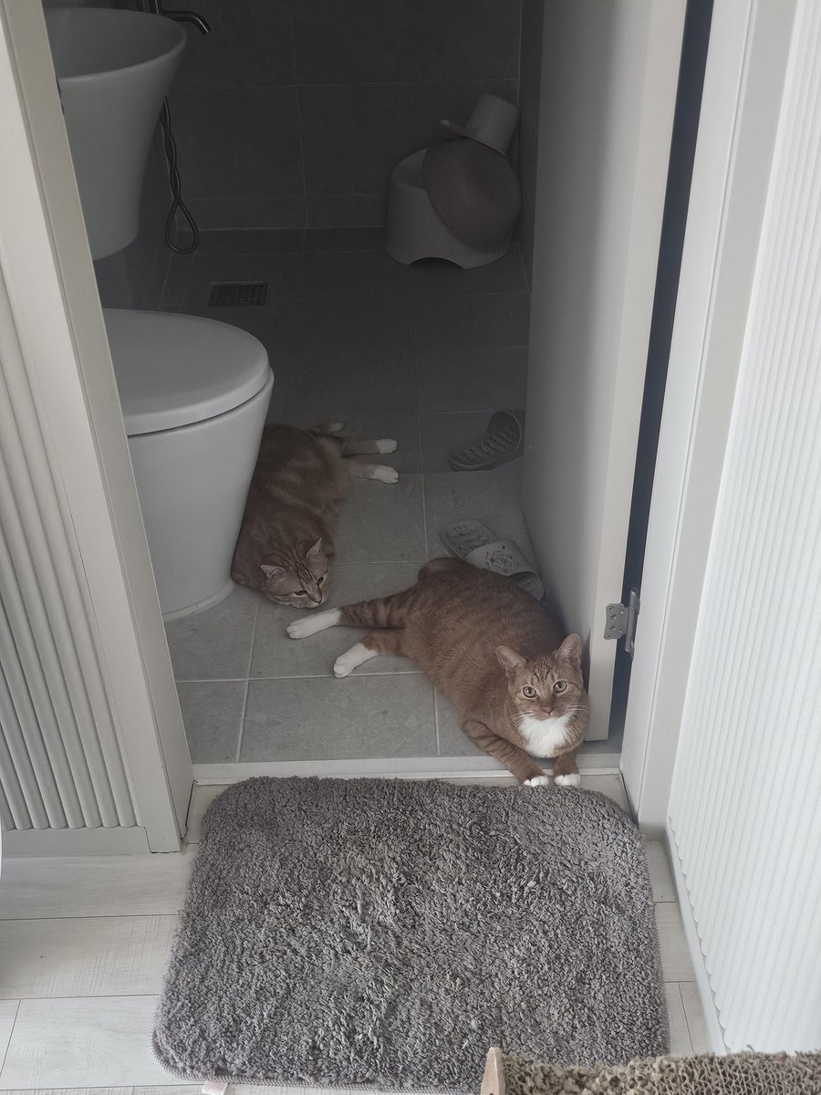 더우면 보일러 꺼달라고 말을 해 얘들아