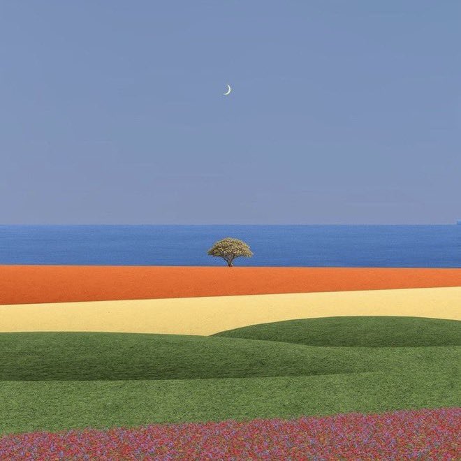 Rose🥀 tweet media