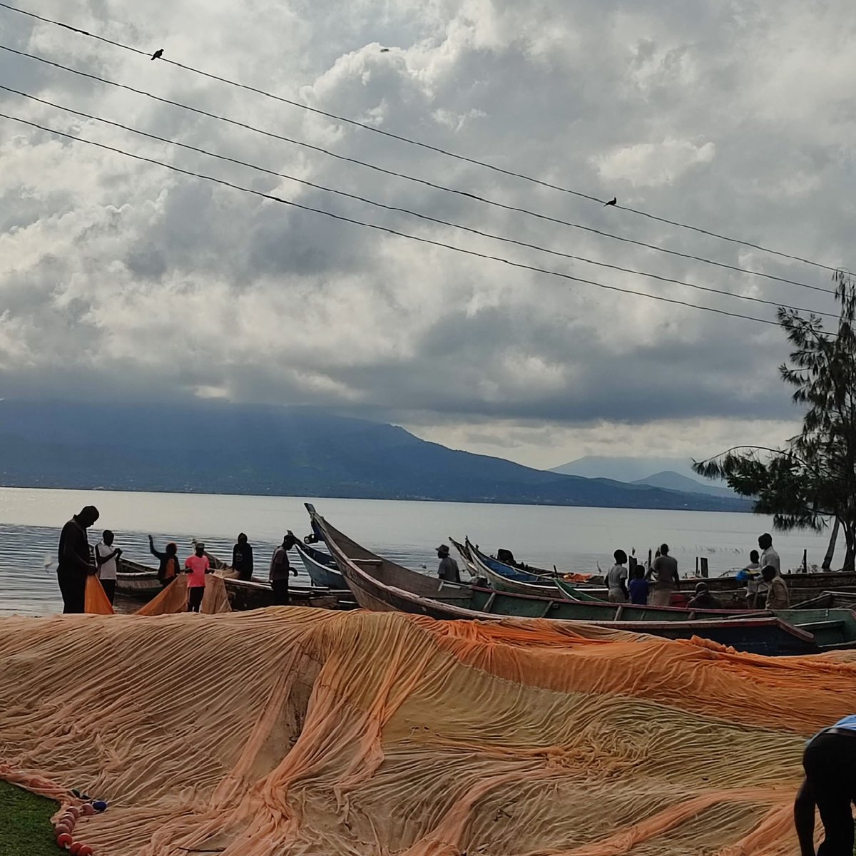 Eewangari's tweet image. Good morning from @RusingaIsland the home of @RusingaFestival . Day 2 of #RusingaFestival loading...