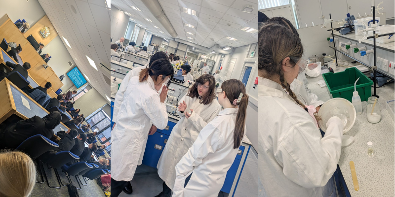 Progress Careers tweet media