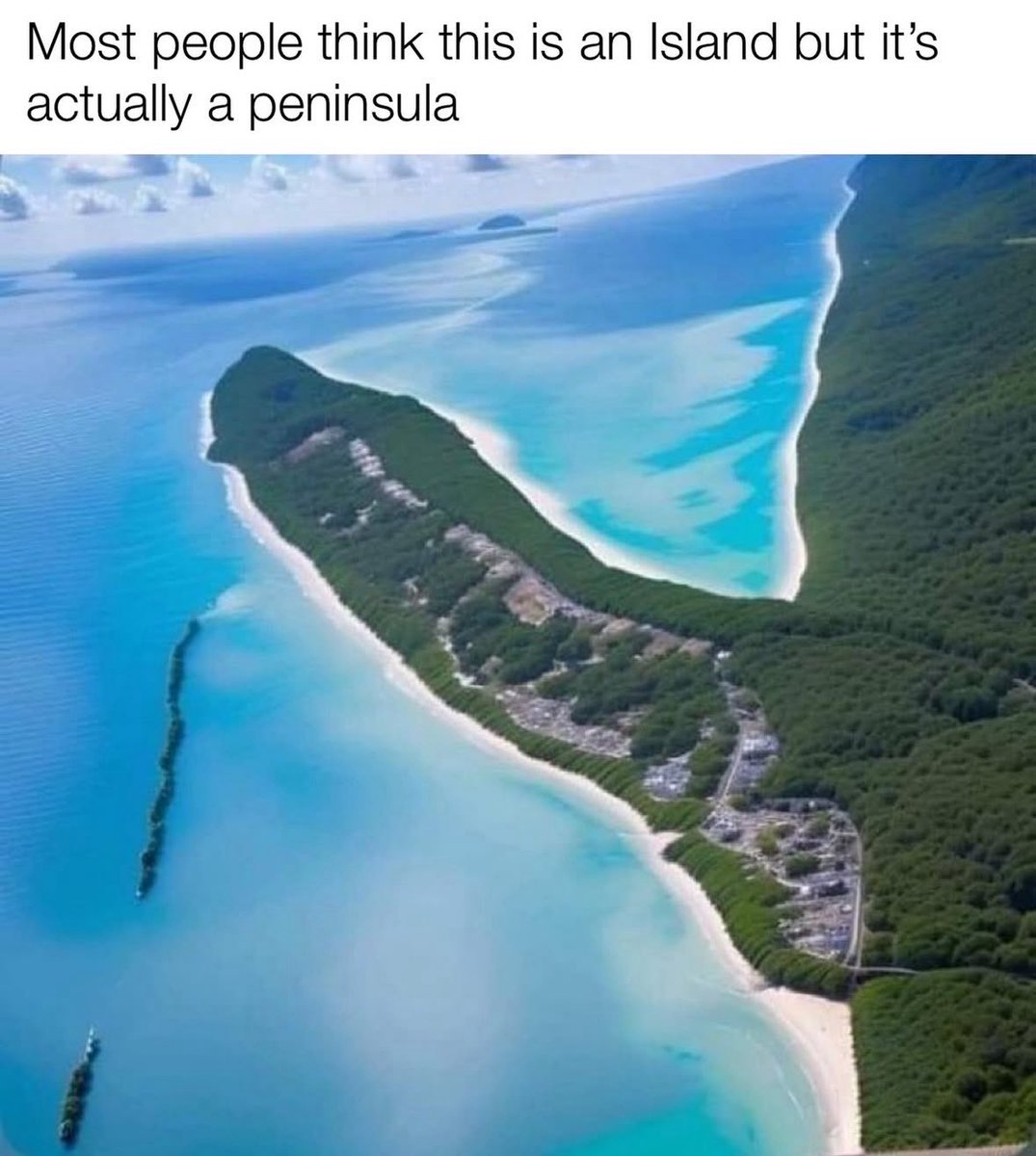 subseeksmaster's tweet image. 