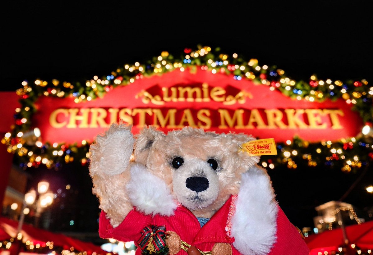 ロッキーとむぎ連れて
umieのクリスマスマーケットへ🎄✨

クリマは毎年ここが一番好きかも☺️

あちこちキラキラでワクワクするね(●´ω｀●)💕

#AsleepEidolon
#シュタイフ
