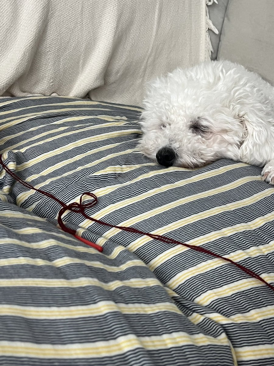 보일러가 따땃하면 깡아지도 녹아내려서 가앙지이<< 가 되는 것 같아요