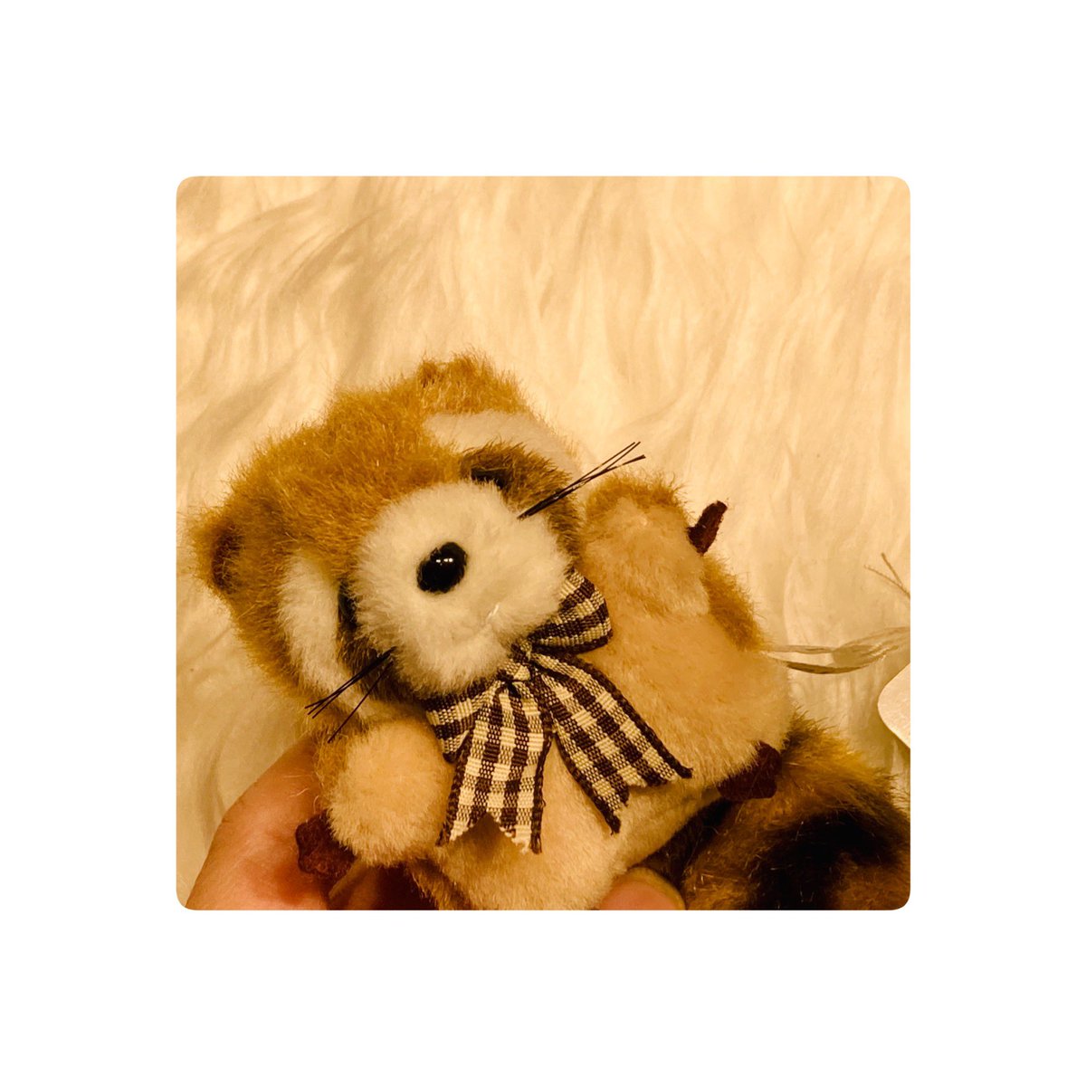 今年もぬいフェスに行けて嬉しい🌟

ゾウさんが大好きなので迷ったけど、うちにはゴマゾウ（ポケモンの）がいるので諦めました！

今回はこの子に一目惚れ💙✨

可愛い男の子！
キーホルダー付きなので、一緒にお出かけが出来るね☺️大切にします。