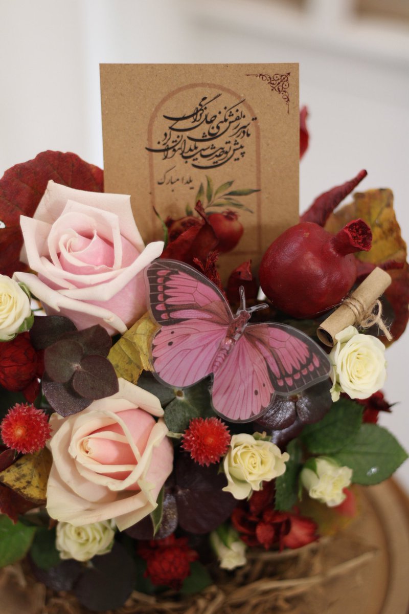 [روز چهارم]
امروز چهارمین روزیه که میخوام تلاش کنم گلفروشی ناوک تو توییتر وایرال بشه!

جدی یکی از آرزوهامه! 🪄
اگه لایک کردی بیا بغلم پس…
یلداتم پیشاپیش مبارک🥹🕯️🤍