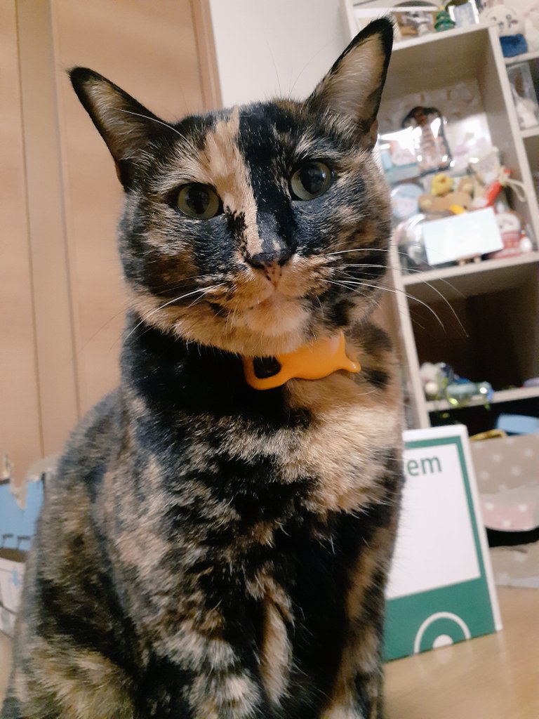 はるるん スーパーハルちん (@hhh_h3922) • Threads, Say more