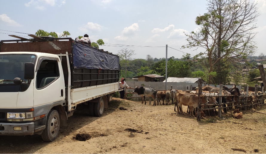 engagingSTS @ESTSjournal@mastodon.world tweet media