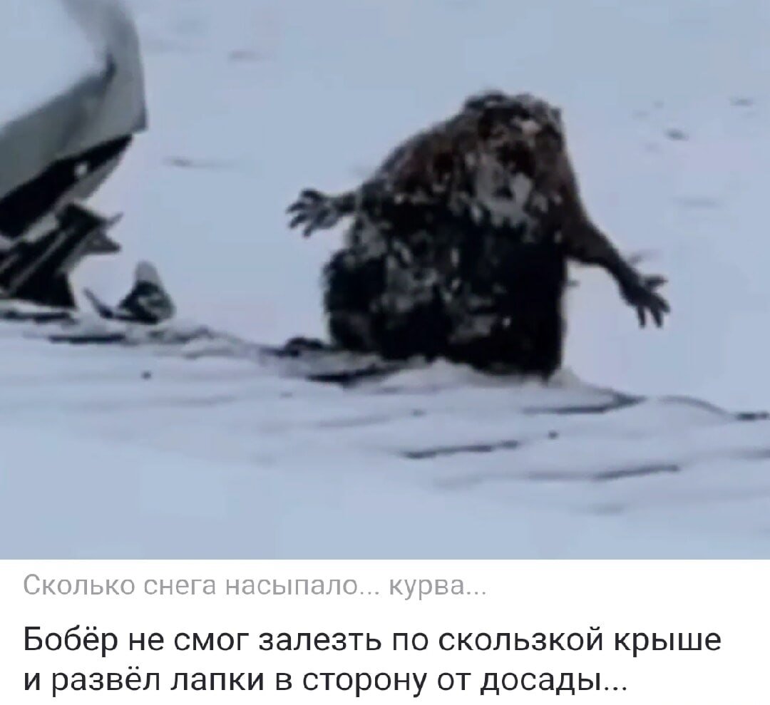 OldSych (@old_sych) on Twitter photo 