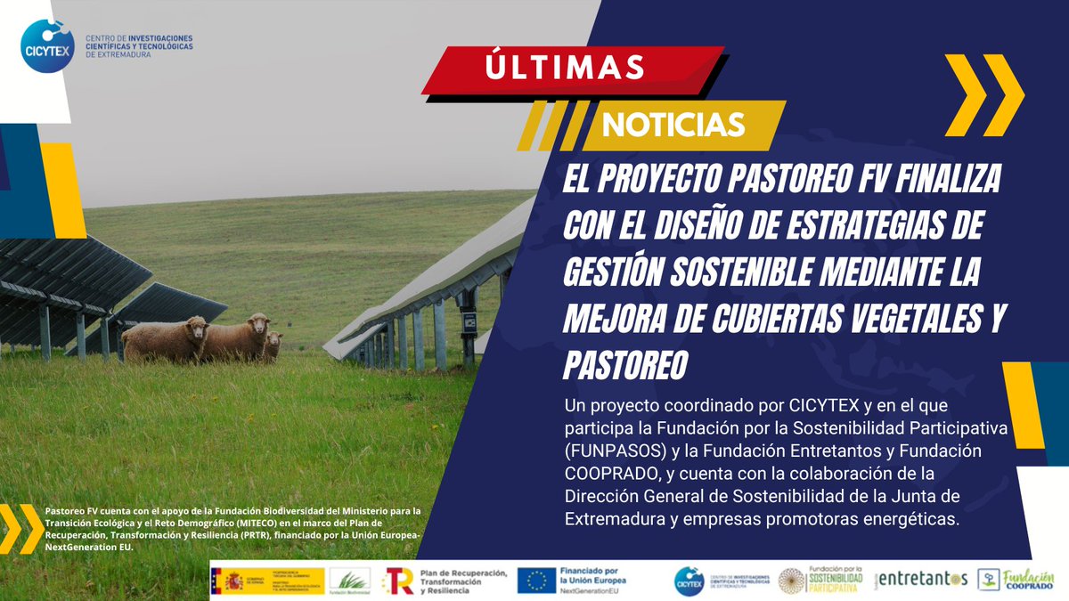 CICYTEX's tweet image. 🆕El proyecto Pastoreo FV finaliza con el diseño d estrategias de gestión sostenible mediante mejora de cubiertas vegetales y pastoreo🐑🍀
🎯Objetivo: mejorar la gestión d plantas fotovoltaicas para hacerlas➕sostenibles ambiental,social y económicamente♻️
cicytex.juntaex.es/-/el-proyecto-…