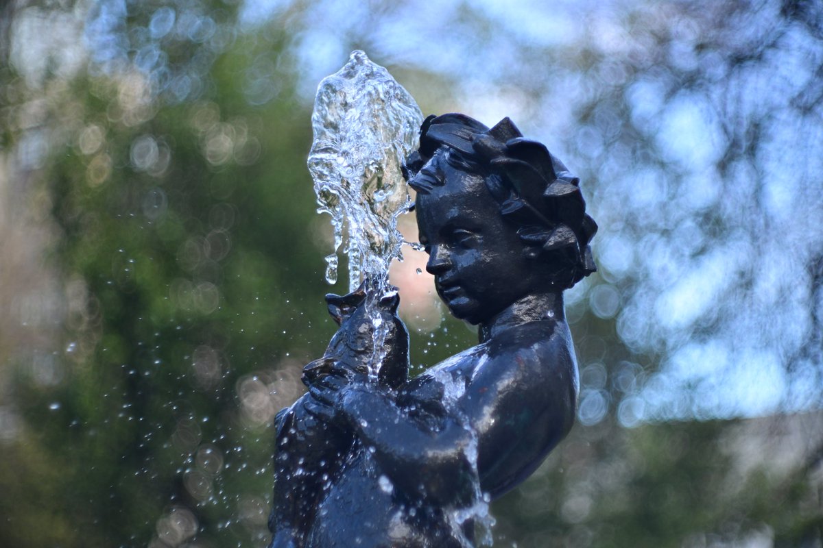 del_norte_80's tweet image. ¿Qué foto os gusta más? ¿1, 2, 3 o 4?
#Bokeh
#photography