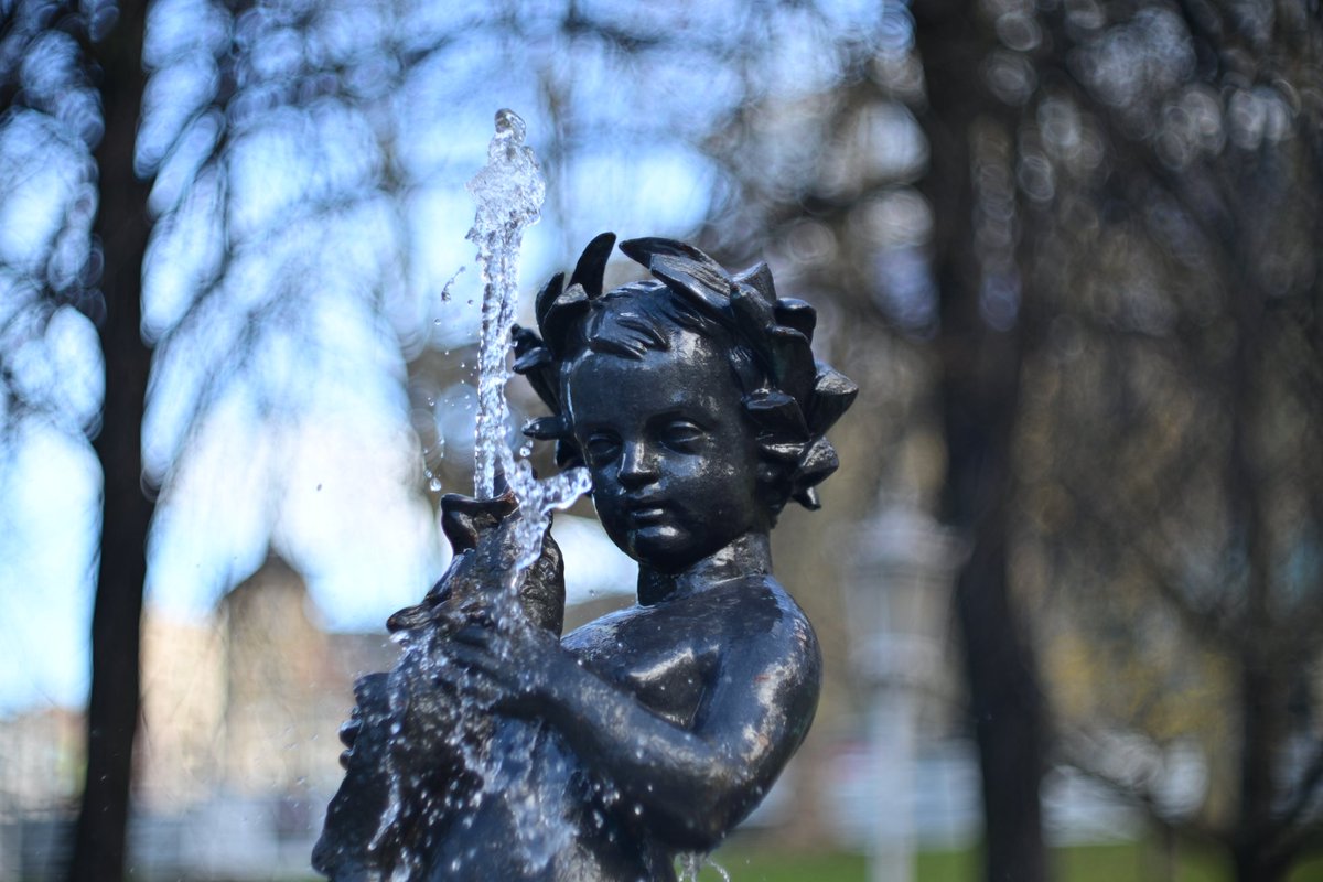 del_norte_80's tweet image. ¿Qué foto os gusta más? ¿1, 2, 3 o 4?
#Bokeh
#photography