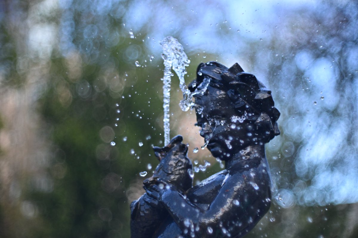 del_norte_80's tweet image. ¿Qué foto os gusta más? ¿1, 2, 3 o 4?
#Bokeh
#photography