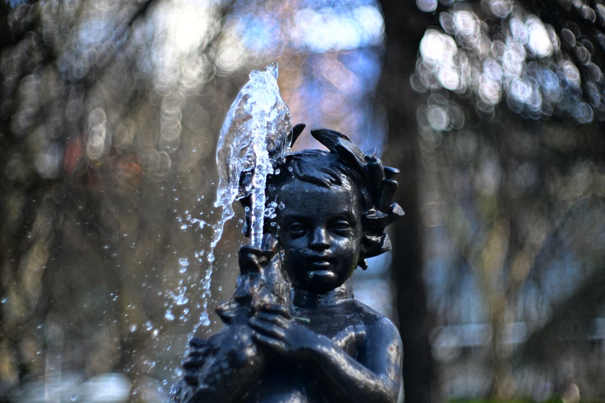 del_norte_80's tweet image. ¿Qué foto os gusta más? ¿1, 2, 3 o 4?
#Bokeh
#photography