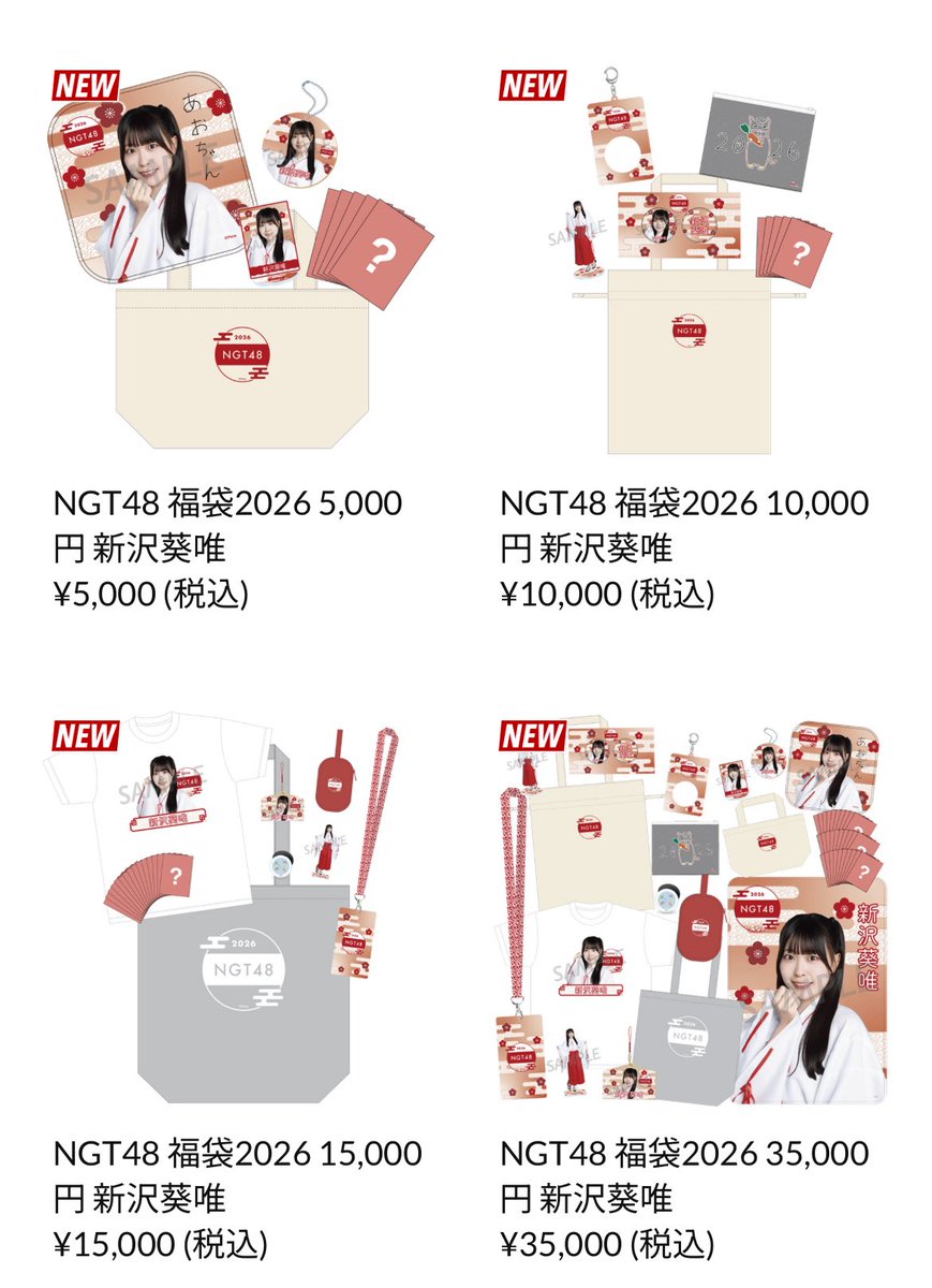 NGT48 福袋 コンプ NGT48 福袋 生写真 コンプ NGT48 福袋 生写真 コンプ