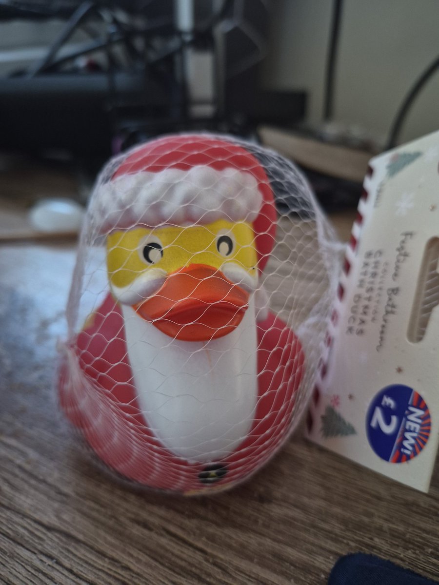Young167Sarah's tweet photo. @potatoslav My granddaughter loves ducks so a festive duck is coming her way this year, 14 months old and loves holding them https://t.co/czJcLt9Zmh