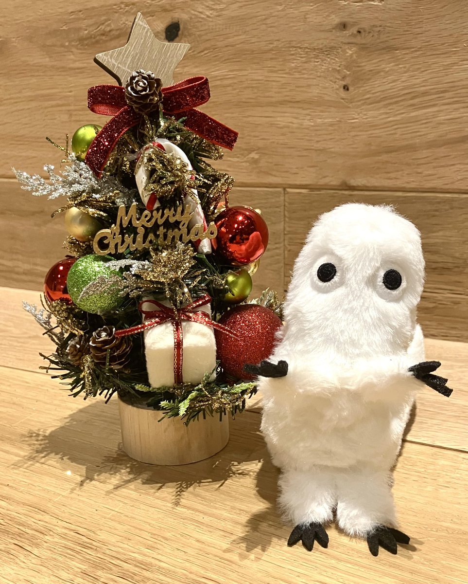 tongari_anime's tweet image. メリークリスマス🎄
#とんがり帽子のアトリエ #WitchHatAtelier