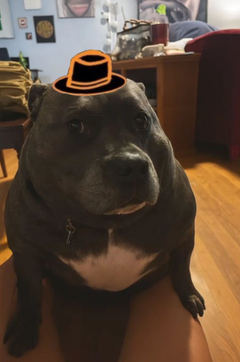 AveドラゴンシンcdrA tweet media