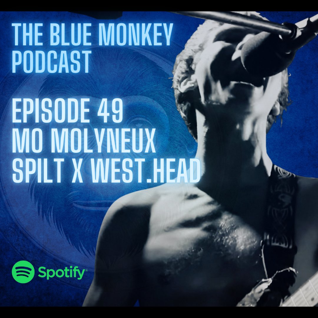 The Blue Monkey Podcast tweet media