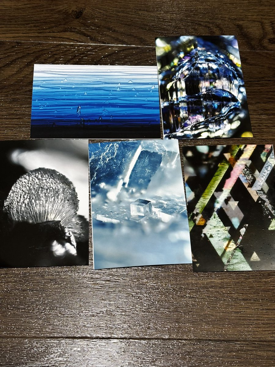 わんさんのネップリ入手しました！ どの写真もとても素敵で美しすぎる🥹