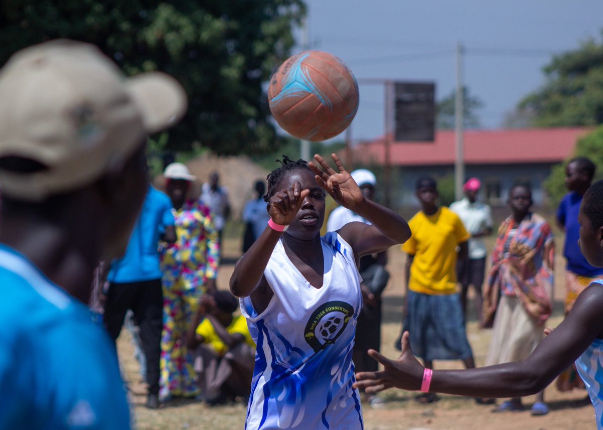 Shea Nut & Natural Oils Conservation Limited tweet media