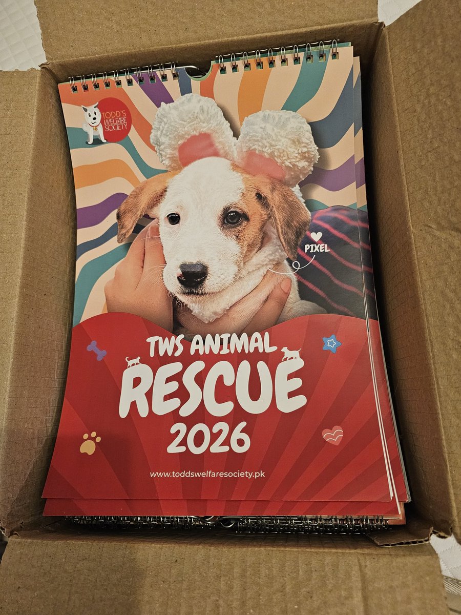 tws_pk2's tweet image. Our sales have come to a complete halt 😪. We still have 87 calendars to sell. Please help our rescues by purchasing a calendar, plus they make lovely gifts 🎁. Cost is £13.50 - UK and £17.00 - US.  PayPal: paypal.me/twsociety.
Do include your postal address.