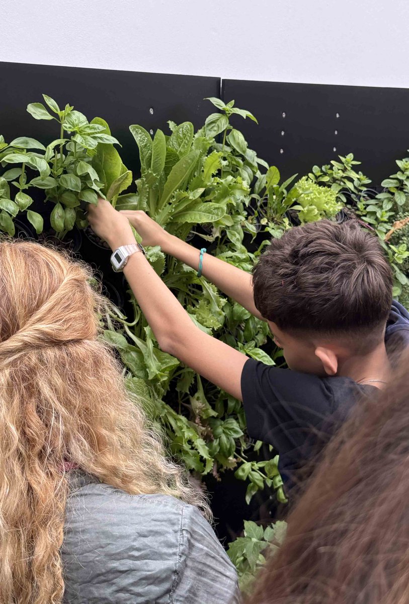 CARDIMED project tweet media