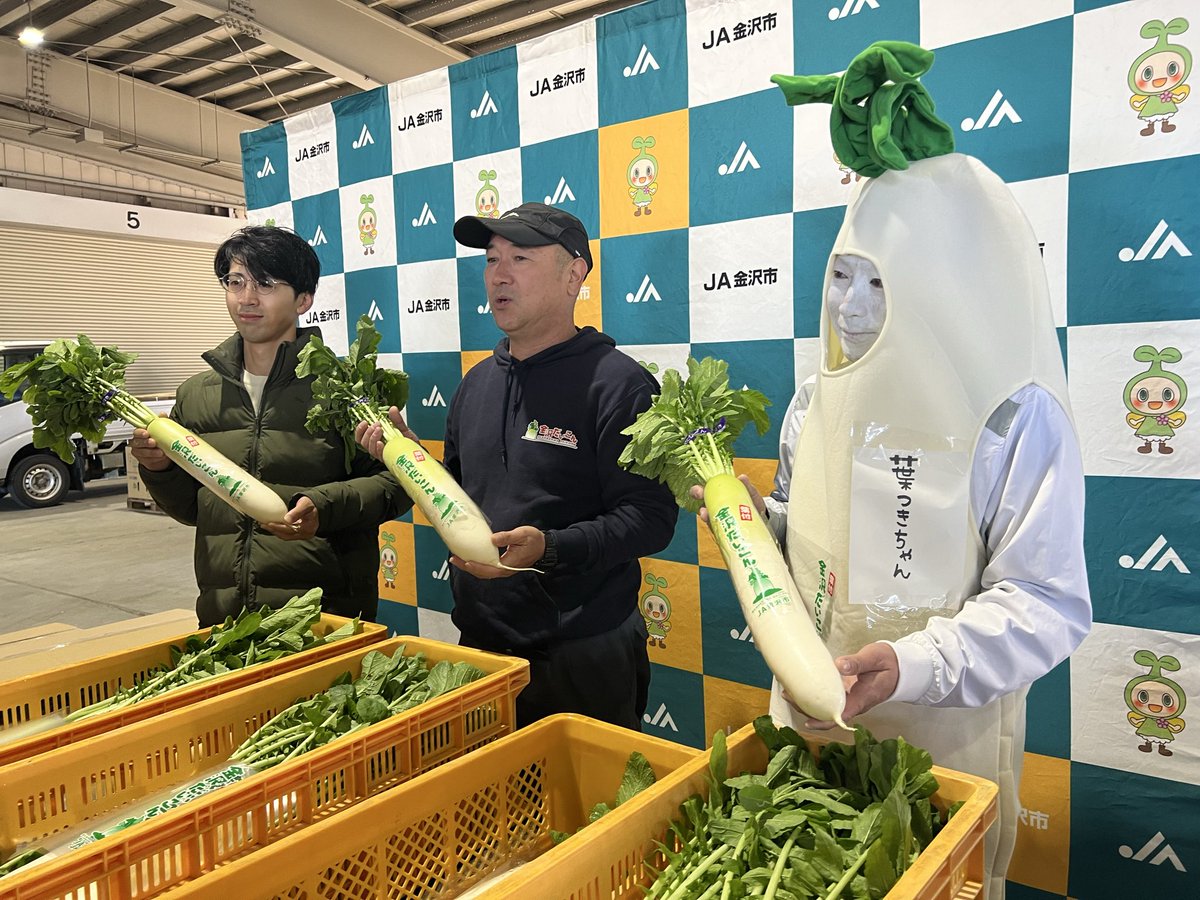 ⭐️スペシャル価格⭐️☘️ラスト2☘️❤️セール❤️369❤️ 超希少❤️ 【ヨシノ】 しのし (@4no4_4no4) / Posts / X