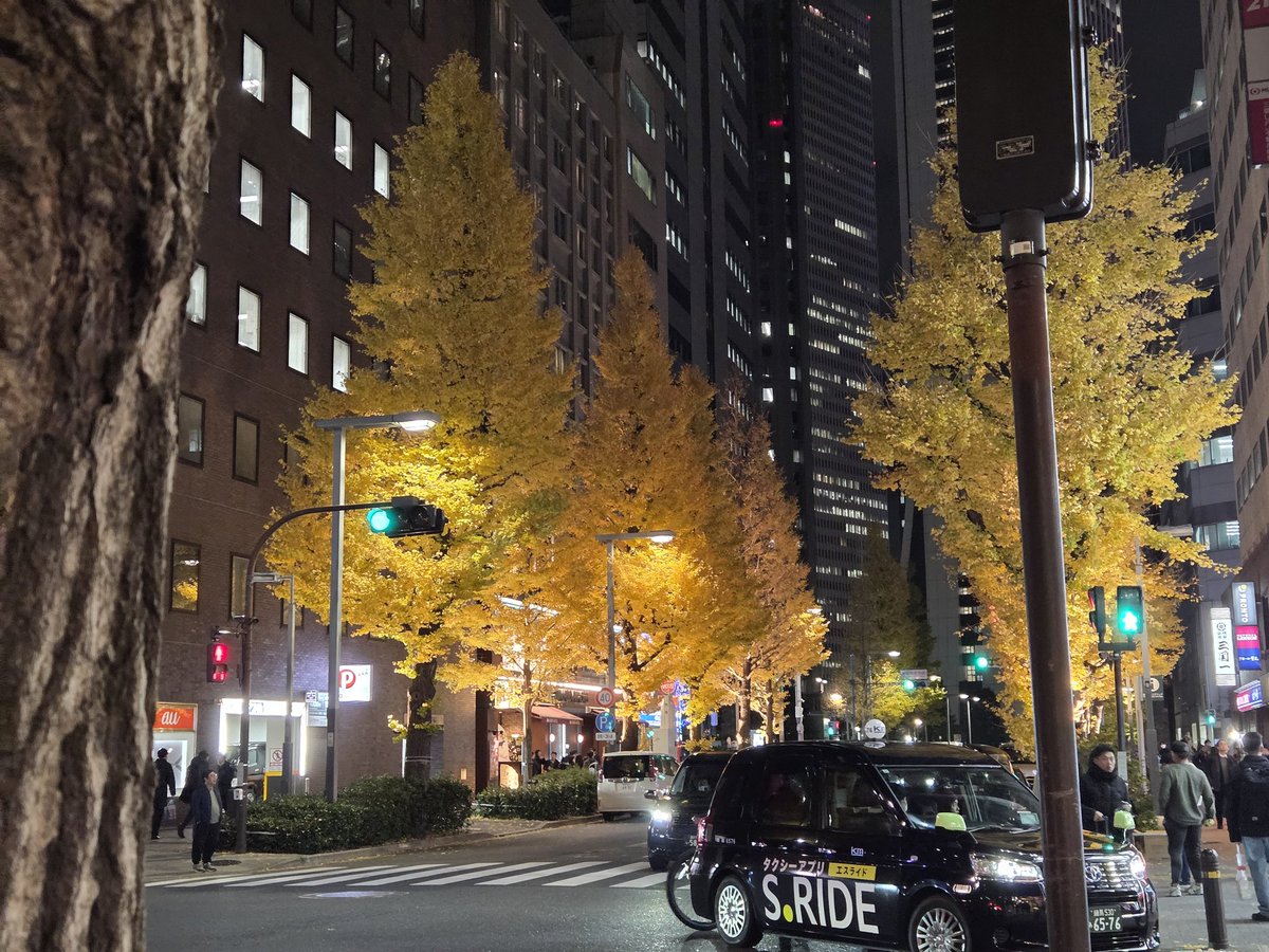 Greep83948623's tweet image. 嘘だろ東京⁉️
なんで12月なのに紅葉してんだよ‼️