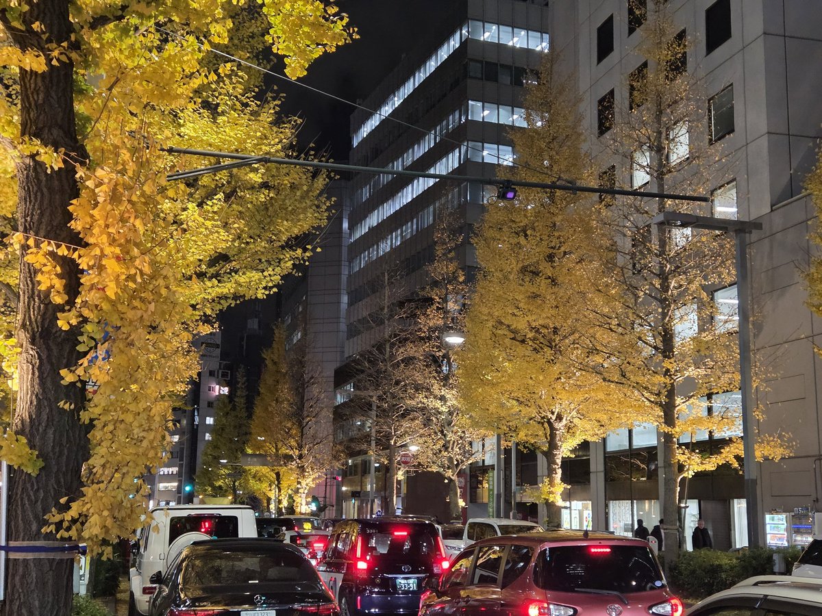 Greep83948623's tweet image. 嘘だろ東京⁉️
なんで12月なのに紅葉してんだよ‼️