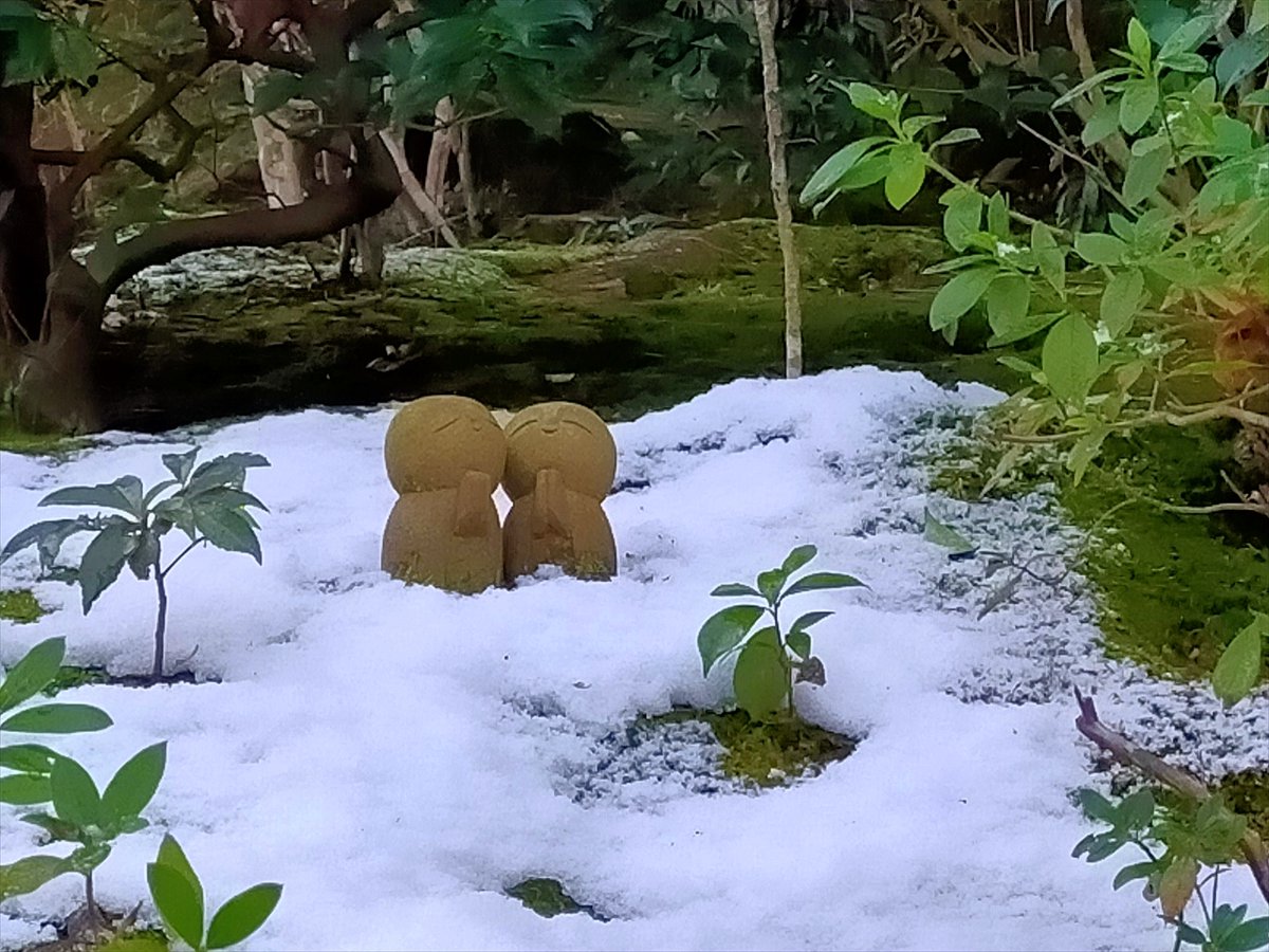 ferrishyn39's tweet image. 厳冬の古都 京都 雪の詩仙堂　庭園より
blog.livedoor.jp/denenlifemind/…
#キリトリセカイ　#旅行好きな人と繋がりたい　#写真好きな人と繫がりたい