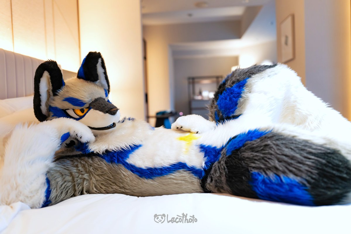 #FursuitFriday
 #犬工房