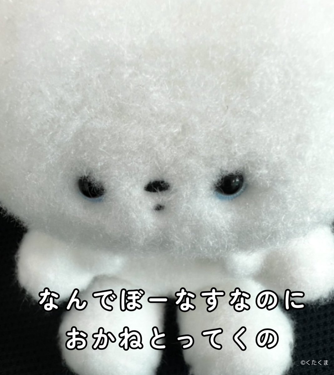 くたくま (@kutabire_kuma) / Posts / X