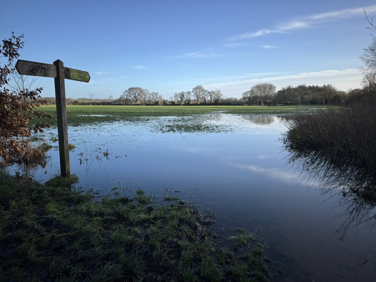 LesleyCashell's tweet image. This morning walking the trailway at Canford Magna @BBCSouthWeather @BBCDorset @Dorsetecho @dorsetlandscape @StormHour @ThePhotoHour @lovefordorset @goDorset  @DorsetMag