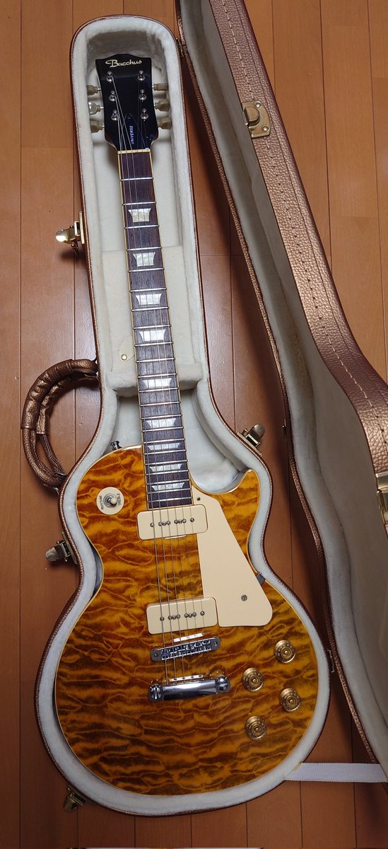 今年買った機材を晒す2025 今年ギター3本も買ってた ①Bacchus レス