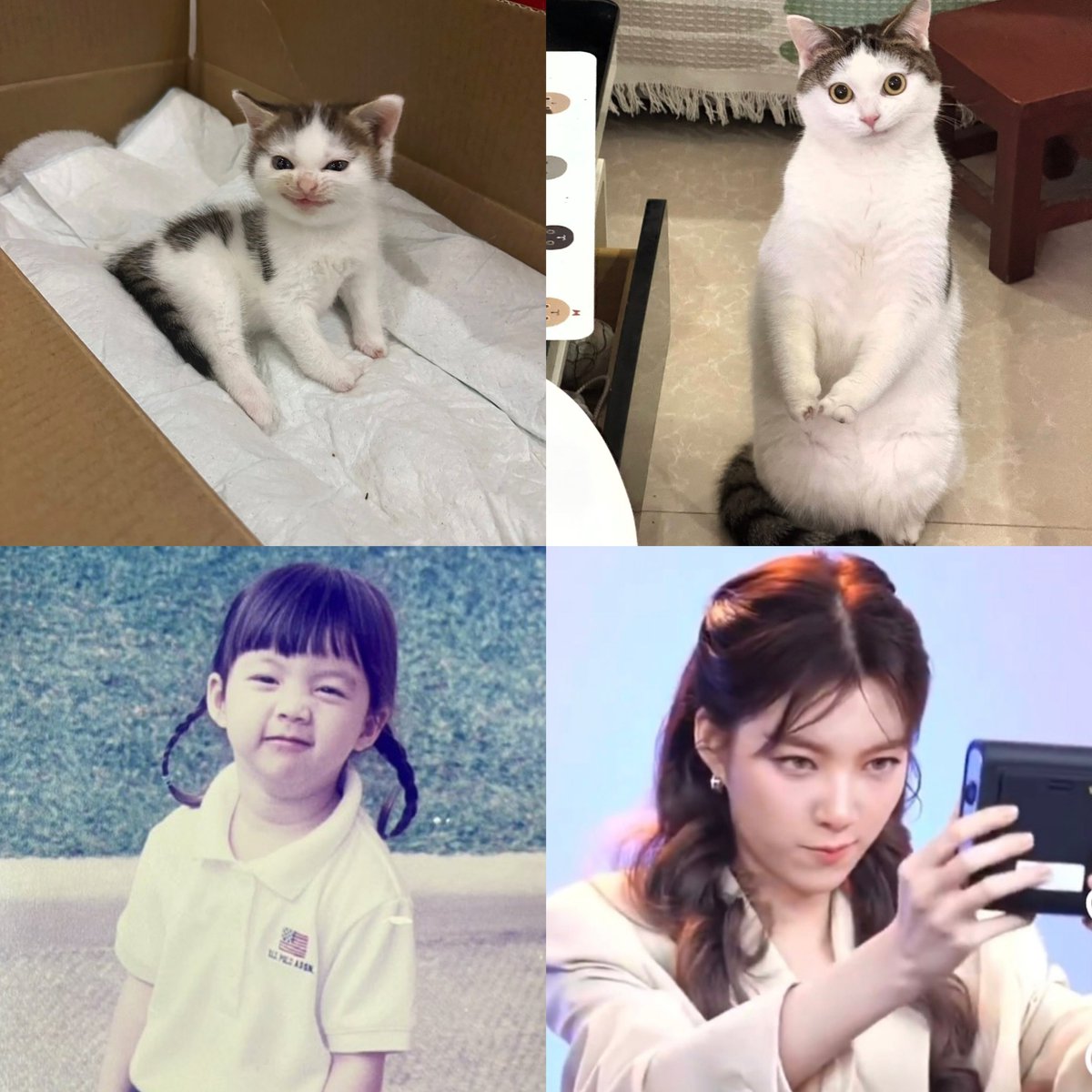 ᵒʳᵐ 😼                                               ORM 😼