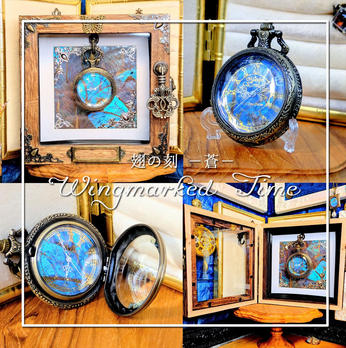 いつもと同じ時間でも、 そこに一羽の蝶がいるように。 モルフォ蝶の