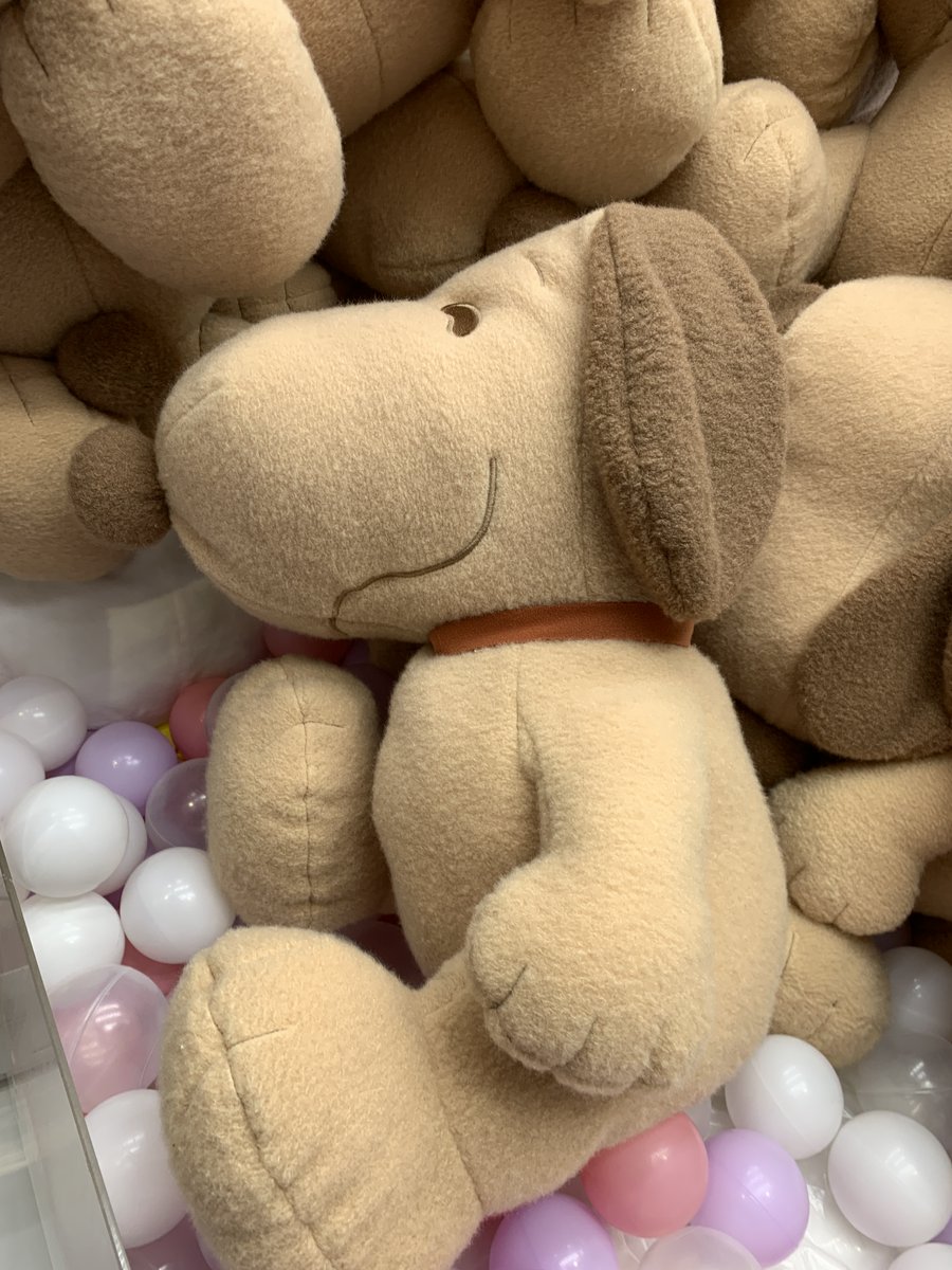 SNOOPY スーパーラージぬいぐるみ もこふわ ブラウンver. 入荷しました