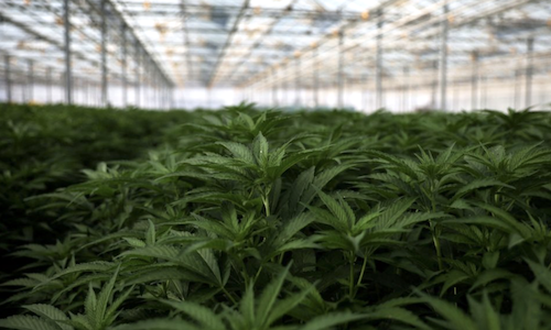 KET Public Affairs tweet media