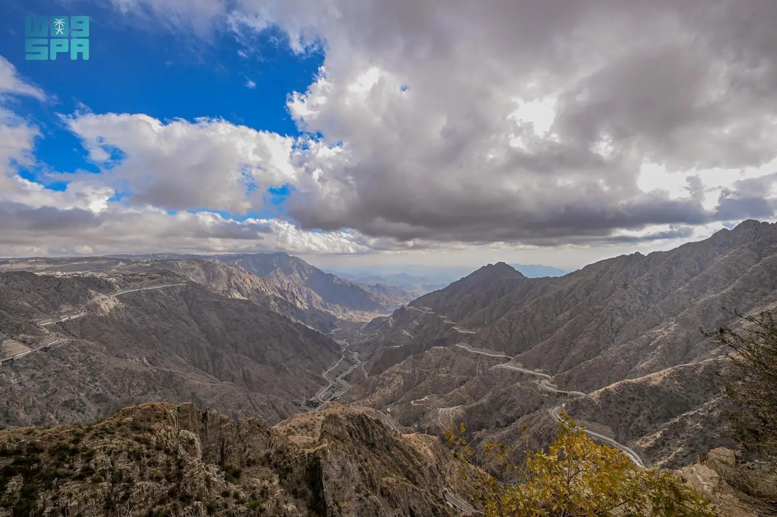 الأحد المقبل بداية فصل الشتاء فلكياً #معكم_باللحظة 