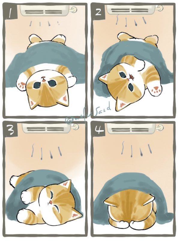 ラッカル (@penguin_love_3) / Posts / X