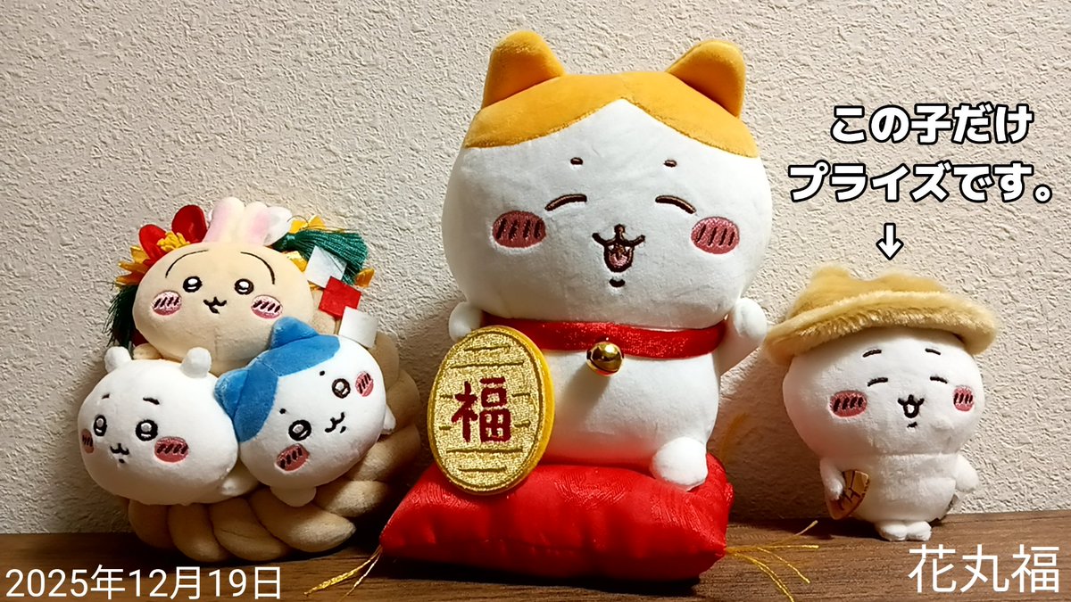 お迎え出来たちいかわ達 ・招福！ハチワレぬいぐるみS ・ちいかわ