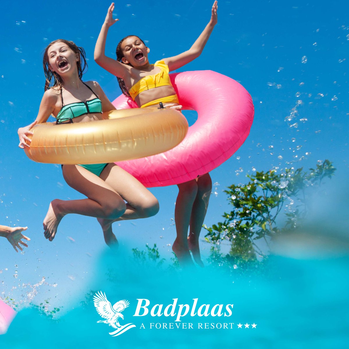 Forever Badplaas tweet media