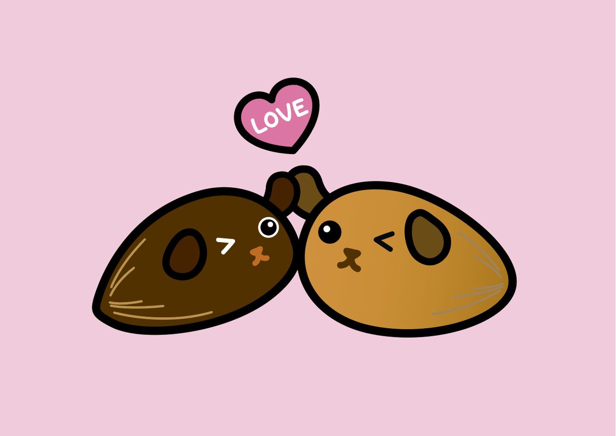 豆柴Rページ NINJA ZX-25R SE/KRT EDITION（'23〜） GPスペック フルエキゾースト