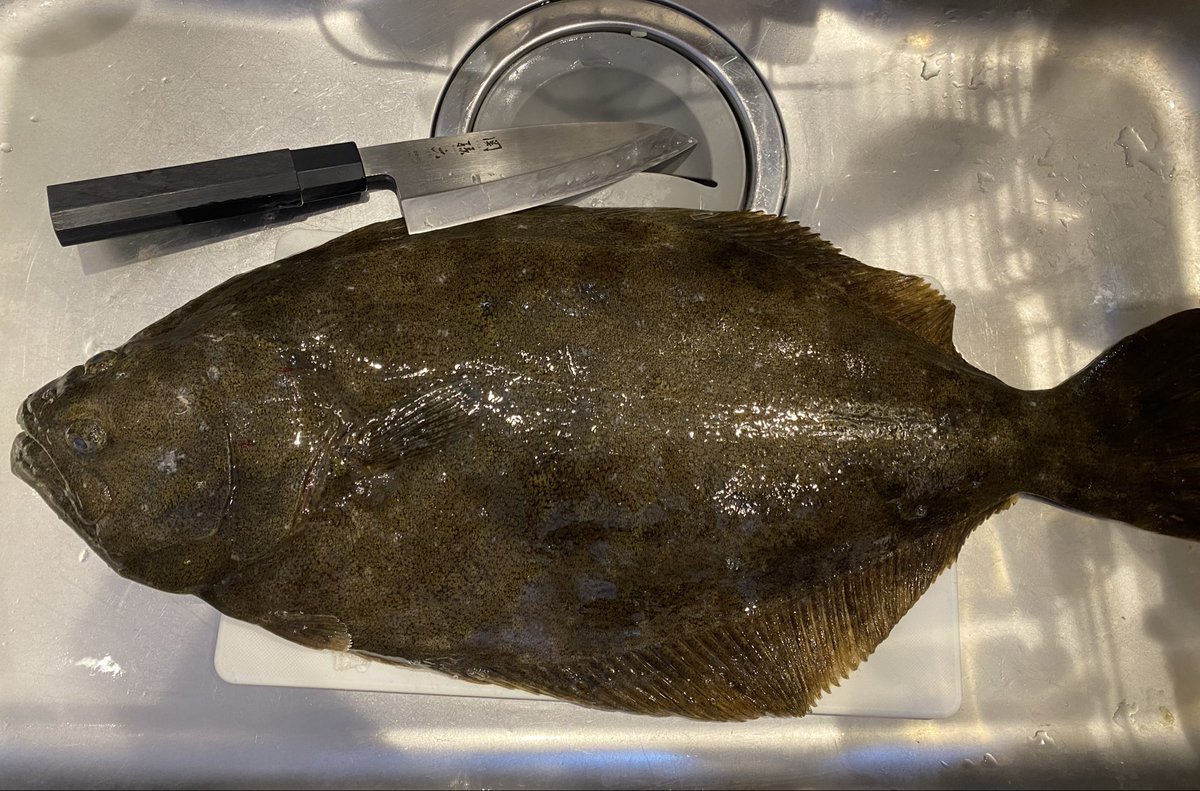 にゃんでもにゃ医 (@lE9BrvyUwLLVZIE) / Posts / X