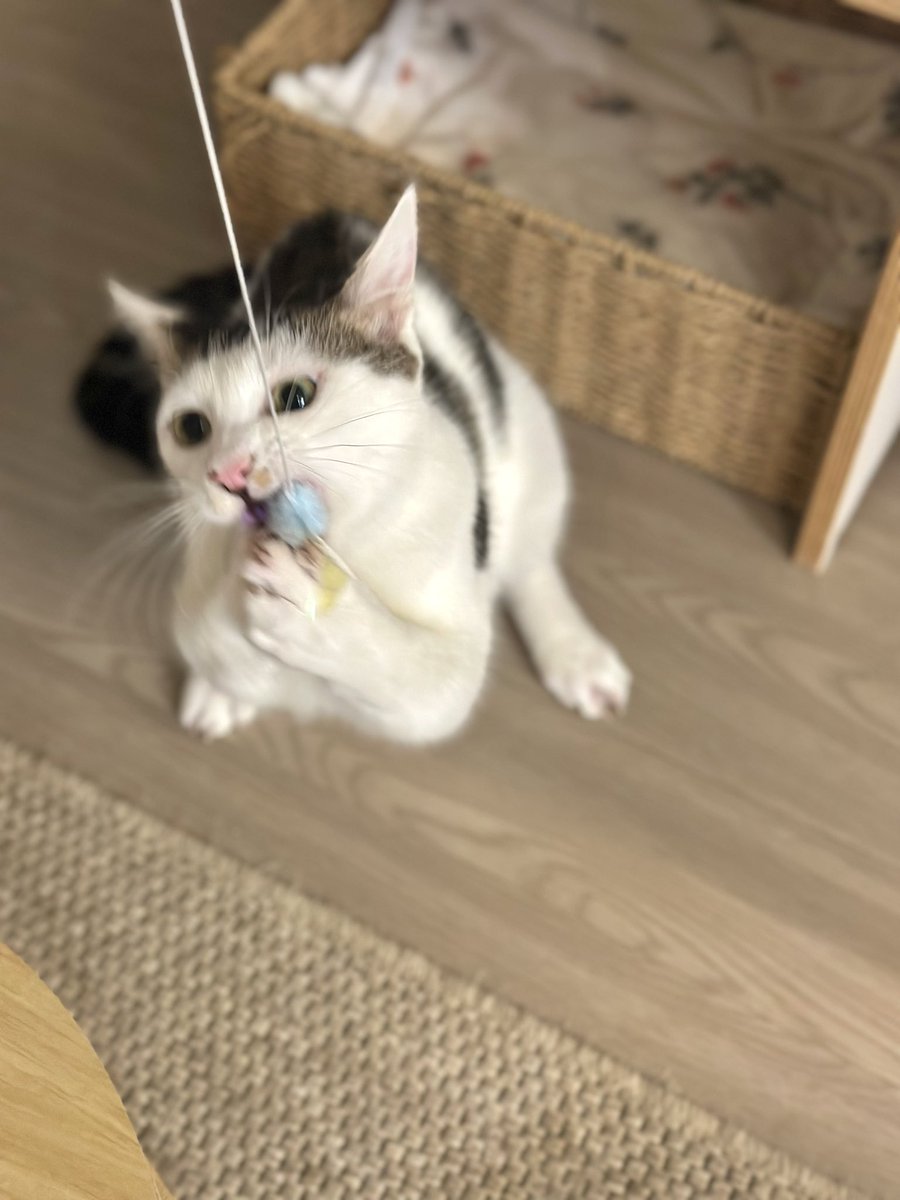 애용이 평생 가족찾기🏠 tweet media