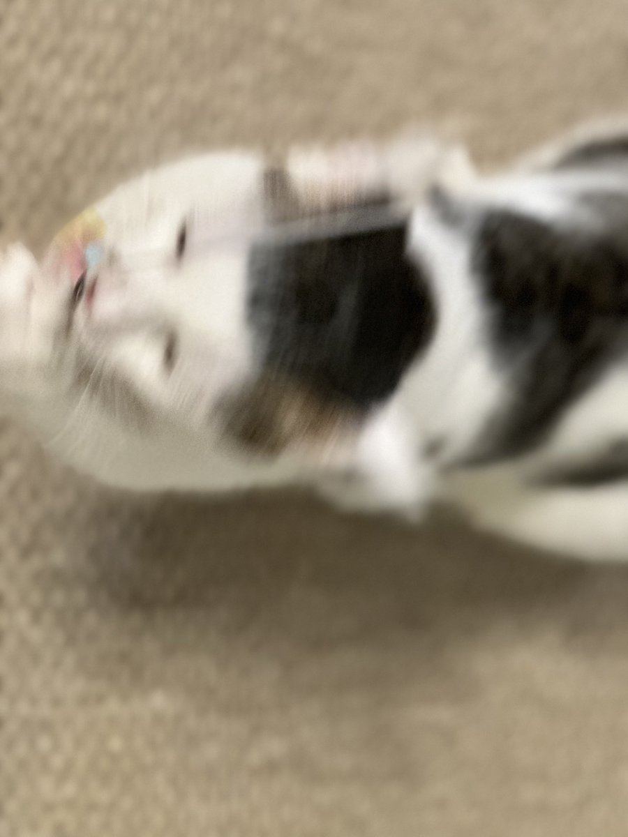 애용이 평생 가족찾기🏠 tweet media