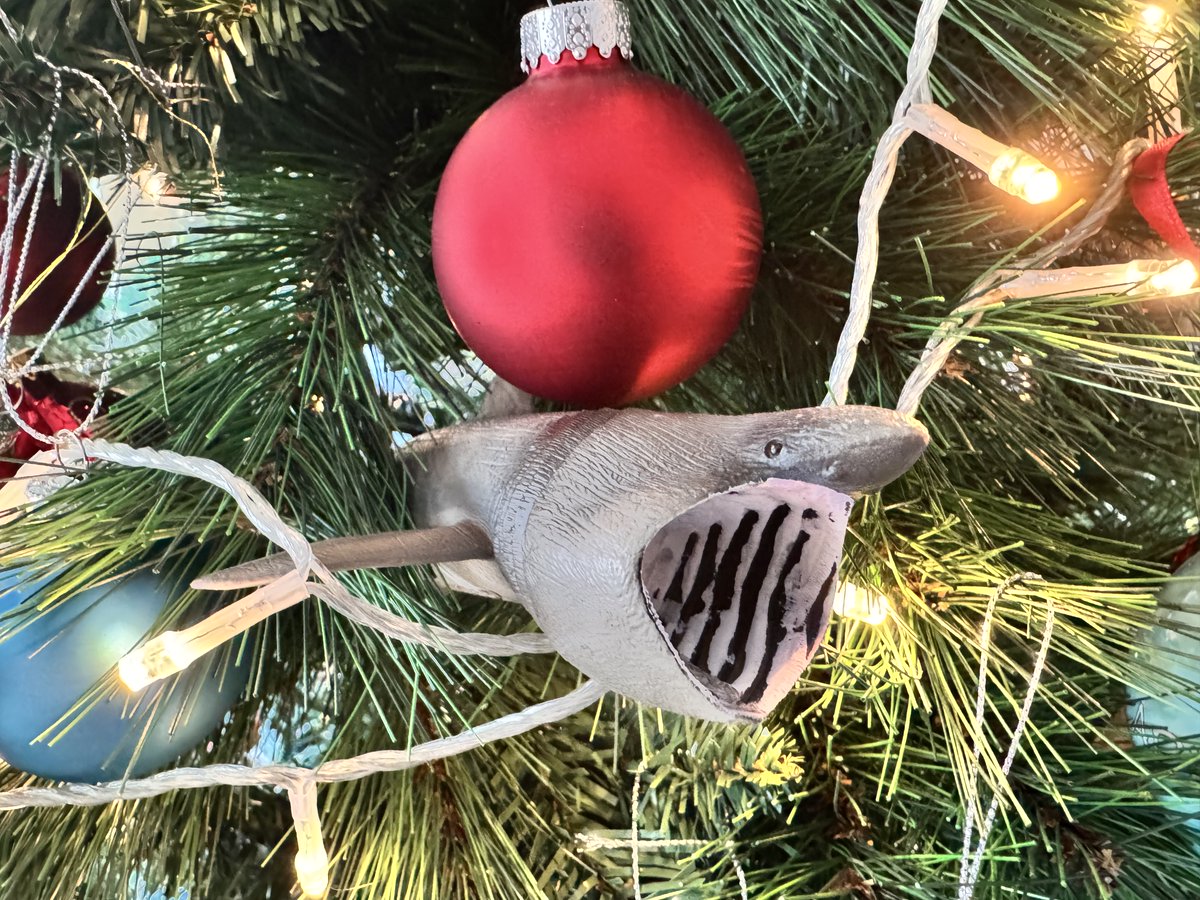 BaskingSharkSco's tweet photo. Hope you're all ready for the big day! Show us your best Christmas tree decorations! 🎅🎄 https://t.co/8wPUAbp9Zg