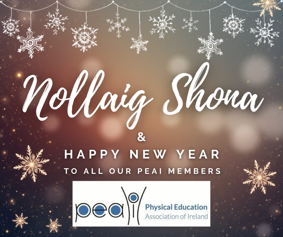 Physical Education Association of Ireland tweet media